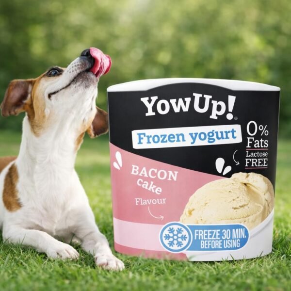 Helado Para Perros Y Gatos Sabor Panceta