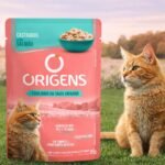 Sobre Origens Para Gatos Castrado Sabor Salmon Tracto Urinario 85 Grs