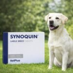 Synoquin Protector Articular Para Perros Grandes Caja Con 30 Comprimidos