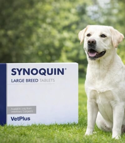Synoquin Protector Articular Para Perros Grandes Caja Con 30 Comprimidos