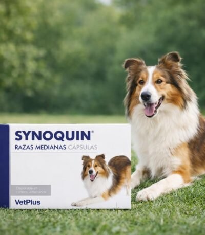 Synoquin Protector Articular Para Perros Medianos Caja Con 30 Comprimidos