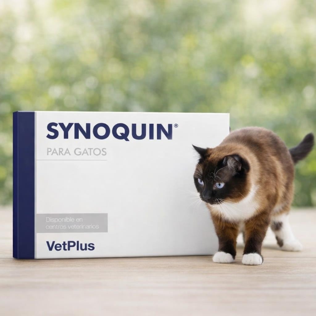 Synoquin Protector Articular Para Gatos Caja Con 30 Comprimidos