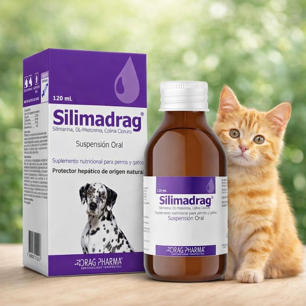 Protector Hepatico En Suspencion Para Perros Y Gatos 120 Ml — Ads Creative Protector Hepatico En Suspencion Para Perros Y Gatos 120 Ml