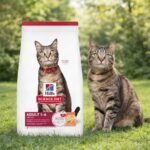 Alimento Hills Para Gato Adulto Sabor Salmon 3 Kg