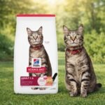 Alimento Hills Para Gato Adulto Sabor Salmon 1,6 Kg